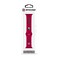SOAR NFL 42mm Apple Watch Band San Francisco 49ers