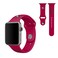 SOAR NFL 42mm Apple Watch Band San Francisco 49ers