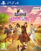 Wild River Games Horse Club Adventures PS4