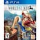 Bandai Namco ONE PIECE World Seeker PlayStation 4