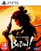 SEGA Like a Dragon Ishin