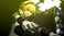 SEGA Persona 3 Reload Standard Edition Xbox Series X