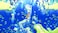 GungHo Online Entertainment, Inc. LUNAR Remastered Collection for Xbox One compatible with Xbox Series XS