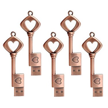 LEIZHAN 5 Pack 64GB Love Heart Key Flash Drive Vintage Thumb Drive Metal Jump Drive Cute Memory Stick Retro USB Stick Pendrive Valentines Day Gift U Disk