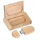 Fire Stone Novelty Wooden USB 20 Flash Drive 32GB Data Storage Memory Stick USB Stick Ellipse Pendrive with Wooden Box