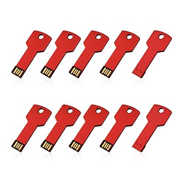 RAOYI 10 Pack 2GB USB Flash Drive USB 20 Metal Key Shape Memory Stick Thumb Drive Pen DriveRed