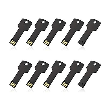RAOYI 10 Pack 4GB USB Flash Drive USB 20 Metal Key Shape Memory Stick Thumb Drive Pen DriveBlack