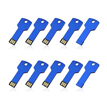 RAOYI 10 Pack 4GB USB Flash Drive USB 20 Metal Key Shape Memory Stick Thumb Drive Pen DriveBlue
