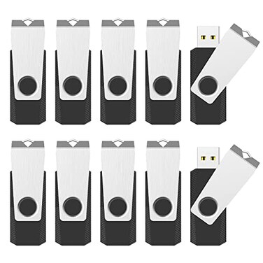 RAOYI 10 Pack 4GB USB Flash Drive USB 20 Swivel Metal Memory Stick Bulk Thumb Drives Pen Drive Jump Drive for Data Storage Black