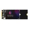 Gamerking SSD M2 2260 64GB NGFF Internal Solid State Drive High Performance Hard Drive for Desktop Laptop SATA III 6Gbs M2 SSD 60gb 64gb 64GB M2 2260