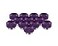 PrimoChill 12in Rigid RevolverSX Series Fitting 12 pack Candy Purple