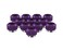 PrimoChill 12in Rigid RevolverSX Series Fitting 12 pack Candy Purple