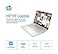 HP 2025 Student Laptop Intel Processor N150up to 36 GHz 16G RAM 256GB Storange 128GB UFS128GB MSD 14 Inch LED Screen1 Year Office 365 Windows 11 HomeSilverwBTP Accessories