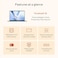 ASUS Vivobook 16 Laptop Copilot PC 16 WUXGA 60Hz Display AMD Ryzen AI 5 340 with XDNA NPU AMD Radeon Graphics 16GB RAM 512GB SSD Quiet Blue M1607KADS54