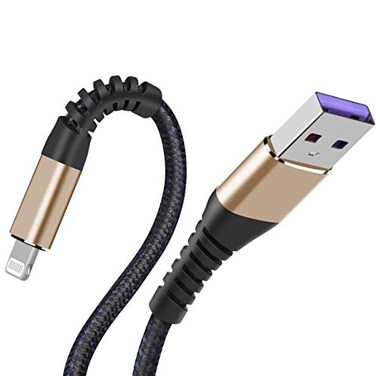 SMALLElectric Apple 2pack iPhone ChargerLightning Cable Fast Charging Cables for Apple iPhone 121111Pro11Max XXSXRXS Max8765SSEiPad Mini Air 10ft Gold