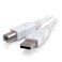 C2GCables to Go 2m USB Cable USB 20 A to B Cable White 66ft
