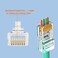 PETECHTOOL RJ45 CAT6 Connector End Pass Through Ethernet Cat6 Ends 8P8C Modular Plug for Solid or Stranded UTP Ethernet Cable 100 Packs with Wire Stripper