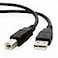 Yxflz USB Cable Cord Compatible with Canon PIXMA MG2420 MG2520 MG2920 MG2922 MX522 iP2500 Printer 6FT