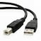 Yxflz USB Cable Cord Compatible with Canon PIXMA MG2420 MG2520 MG2920 MG2922 MX522 iP2500 Printer 6FT