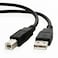 Yxflz USB Cable Cord Compatible with Canon PIXMA MG2420 MG2520 MG2920 MG2922 MX522 iP2500 Printer 6FT