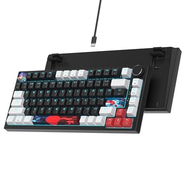 Ussixchare 75 Mechanical Gasket Mount TKL Gaming Keyboard Wired Custom Hot Swappable RGB Backlit for PC Laptop Gamers Black