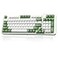 AUSDOM 98Pro Silent Mechanical Keyboard Wireless Hot Swappable Gaming Keyboard with BacklitGasket StructurePrelubed Tactile Switches24GHzTypeCBluetooth Custom Keyboards Green WhiteSilent