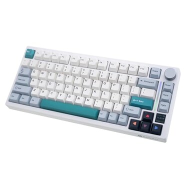 GK GAMAKAY TK75 V2 75 Silent Mechanical Keyboard with TFT Screen Hot Swap RGB Bluetooth 5024GHz WirelessUSBC Wired PBT Cherry Profile Keycaps Gaming Keyboard GamaKay Phoenix Switch