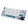 GK GAMAKAY TK75 V2 75 Silent Mechanical Keyboard with TFT Screen Hot Swap RGB Bluetooth 5024GHz WirelessUSBC Wired PBT Cherry Profile Keycaps Gaming Keyboard GamaKay Phoenix Switch