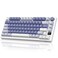 RK ROYAL KLUDGE M75 Mechanical Keyboard with OLED Smart Display and Volume Knob 24GUSBCBT Gasket Mounted 75 Layout Wireless Gaming Keyboard with 81 Keys RGB Backlit HotSwappable Brown Switch