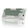 RK Royal KLUDGE M75 Wireless Mechanical Keyboard 24GhzBT51USBC Gaming Keyboard 75 Layout 81 Keys Gasket Mount with OLED Display Knob RGB Backlight HotSwappable Cream Switch Green
