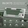 RK Royal KLUDGE M75 Wireless Mechanical Keyboard 24GhzBT51USBC Gaming Keyboard 75 Layout 81 Keys Gasket Mount with OLED Display Knob RGB Backlight HotSwappable Cream Switch Green