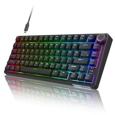 RK ROYAL KLUDGE R75 Wired Mechanical Gaming Keyboard 75 HotSwap Mechanical Keyboard Volume Knob Soft Prelubed Tactile Brown Switch