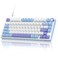 RK ROYAL KLUDGE R75 Mechanical Keyboard Wired with Volume Knob 75 Custom Gaming Keyboard Gasket Mount RGB Backlit with Software Cherry Profile Hot Swappable Silver Switch PBT Keycaps
