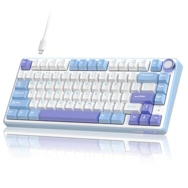 RK ROYAL KLUDGE R75 Mechanical Keyboard Wired with Volume Knob 75 Custom Gaming Keyboard Gasket Mount RGB Backlit with Software Cherry Profile Hot Swappable Silver Switch PBT Keycaps
