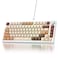 Ussixchare 75 Mechanical Gasket Mount TKL Custom Keyboard Wired Hot Swappable RGB Backlit for PC Laptop Windows Gamers Coffee Cat