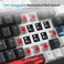 Ussixchare Wired Creamy Gaming Keyboard with Number Pad 96 Hotswappable Mechanical Keyboard Full Layout Custom Keyboard Gasket Mounted with Red Switch Knob ControlBlack
