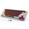 GEODMAER 65 Wireless Gaming Keyboard LED Backlit Gaming Keyboard 68 Keys UltraCompact Antighosting NoConflict Wireless Keyboard for PC Laptop Windows GamerRedWhite