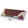 GEODMAER 65 Wireless Gaming Keyboard LED Backlit Gaming Keyboard 68 Keys UltraCompact Antighosting NoConflict Wireless Keyboard for PC Laptop Windows GamerRedWhite