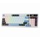 Redragon K719 Wireless Gasket Gaming Keyboard wHype Screen Knob 95 Keys Mechanical Keyboard EasyControl 114 TFT Info Display 5Layer Noise Dampener Round PBT Keycaps Mint Mambo Switch