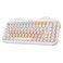 YUNZII C75 Wireless Mechanical Keyboard75 Layout HotSwappable NKROBT5024GUSBC ModeDyeSub PBT MOA KeycapsRGB Gasket MountCute Cake Design for MacWinGaming Beige Milk V2 Switch
