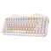 YUNZII C75 Wireless Mechanical Keyboard75 Layout HotSwappable NKROBT5024GUSBC ModeDyeSub PBT MOA KeycapsRGB Gasket MountCute Cake Design for MacWinGaming Beige Candy Switch