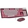 Lovaky Wireless Keyboard and Mouse Combo 24G FullSized Ergonomic Keyboard Mouse 3 DPI Adjustable Cordless USB Keyboard and Mouse Quiet Click for ComputerLaptopWindowsMac 1 Pack Rose
