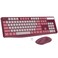 Lovaky Wireless Keyboard and Mouse Combo 24G FullSized Ergonomic Keyboard Mouse 3 DPI Adjustable Cordless USB Keyboard and Mouse Quiet Click for ComputerLaptopWindowsMac 1 Pack Rose