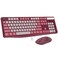 Lovaky Wireless Keyboard and Mouse Combo 24G FullSized Ergonomic Keyboard Mouse 3 DPI Adjustable Cordless USB Keyboard and Mouse Quiet Click for ComputerLaptopWindowsMac 1 Pack Rose