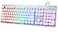 ANSWK Typewriter Style Keyboard with Metal Panel Rainbow LED Backlit Round Keys Antighosting Spill Resistant Light Up USB Wired Retro 104 Keys for OfficeGaming WhiteSilver