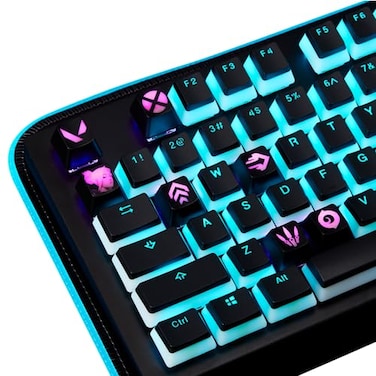 KeycapBro Valorant Custom Keycaps Agent Deadlock Laser Engraved with Each Valorant Agents Portrait Skills and Position Fit with Any Mechanical Keyboard Valorant Gift for Gamers Adults and Teens