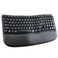 Nulea RT08 Wave Keys Wireless Ergonomic Keyboard with Cushioned Palm Rest 24GHz Ergo Cordless USB Computer Keyboard Comfortable Natural Typing for Laptop Mac Windows Black