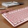 SEUNKWANG Wired Backlit Keyboard with Pudding Keycaps Quiet Full Size Computer Keyboard White Backlight EasytoRead Never Fade Metal Panel USB Cute Desk Setup for Windows PC Desktop Pink