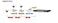 Loryta EmpireTech PoE Extender Mini Passive 2 Port Switch Ethernet Splitter Powering 2 POE Devices IP Camera Over One Cat56 Cable PFT1300