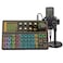 sktome Podcast Equipment Bundle K300 Sound Card with Podcast Microphone Audio Interface for Music Recording Karaoke Singing Broadcast AM200K300S2